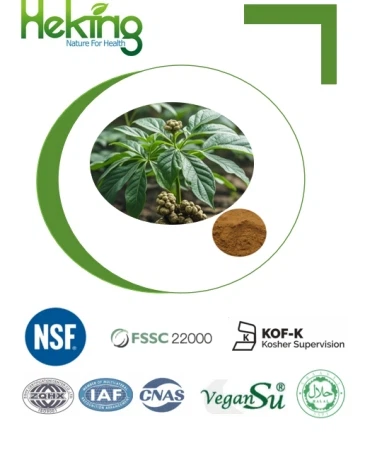 Radix Notoginseng Ekstrakt